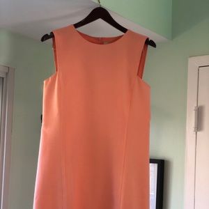Sleeveless Sheath Dress